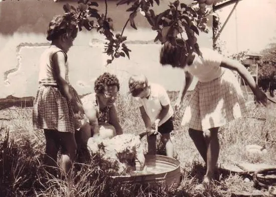 Dog bath supplies prepared before bath time
