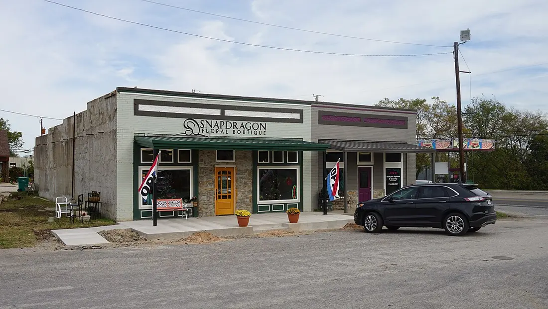 Dog grooming tools and shampoo prepared before a bath