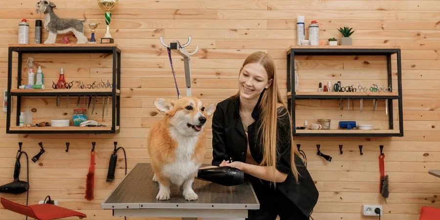 Dog Home Grooming Safety Checklist