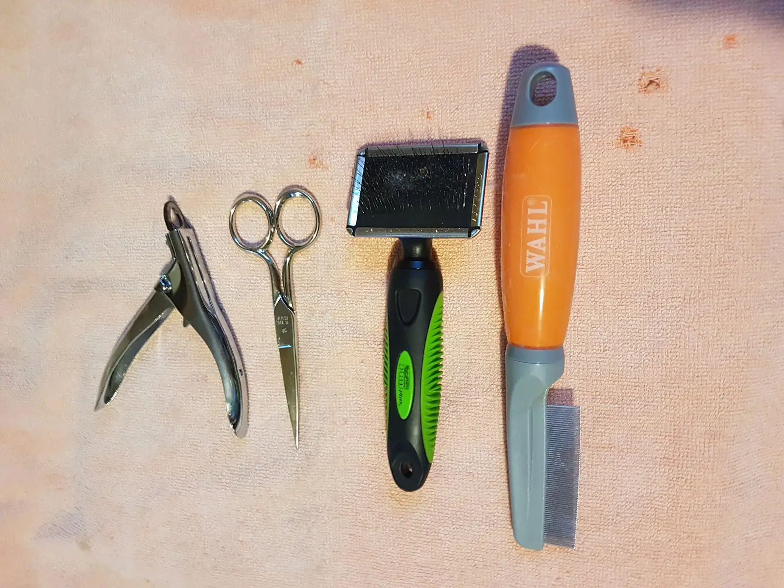 Dog Post-Hike Cleanup Checklist illustration 2