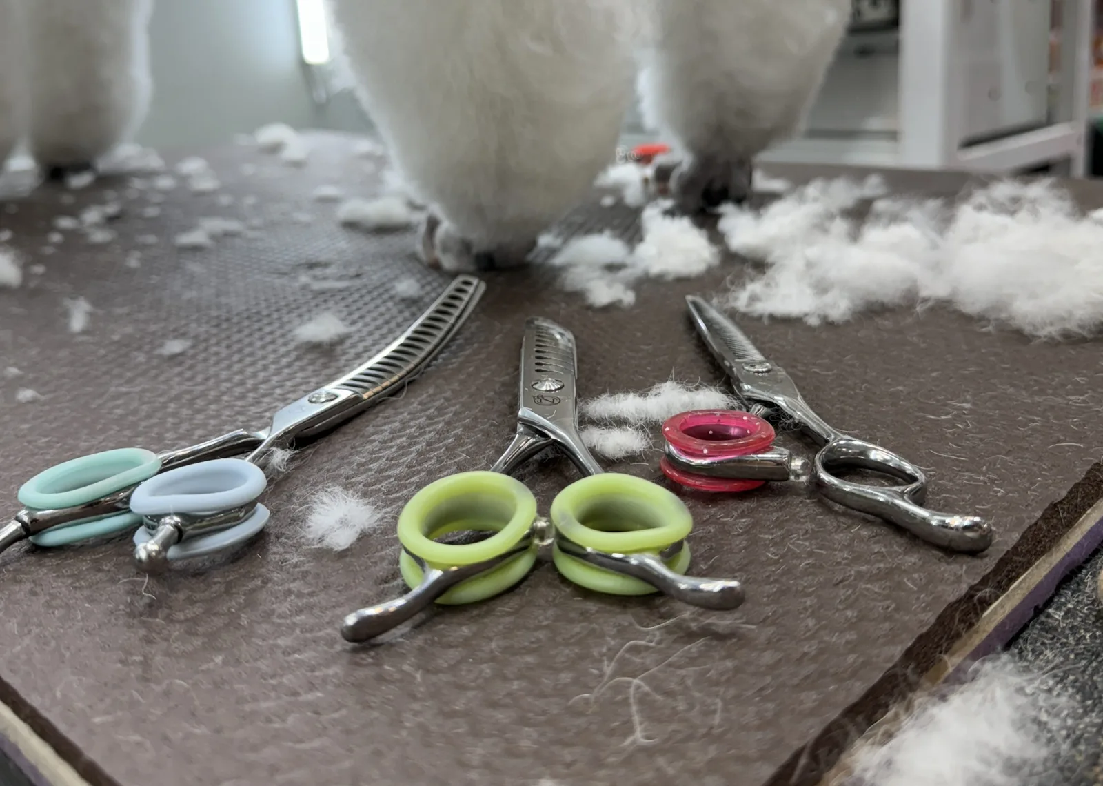 Budget Dog Grooming Tools Under $50: What Owners Should Check First