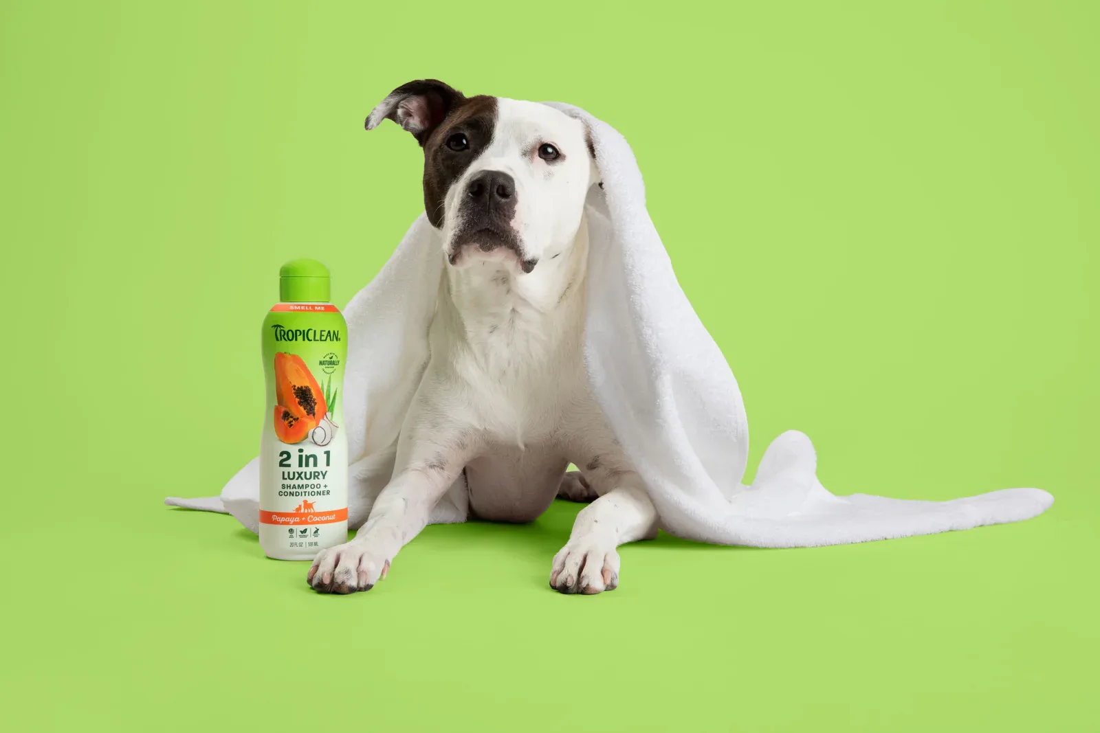 How to Choose a Dog Conditioner Based on Coat Type