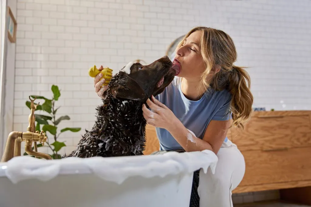 How to Choose a Dog Shampoo for Sensitive Skin Without Overwashing