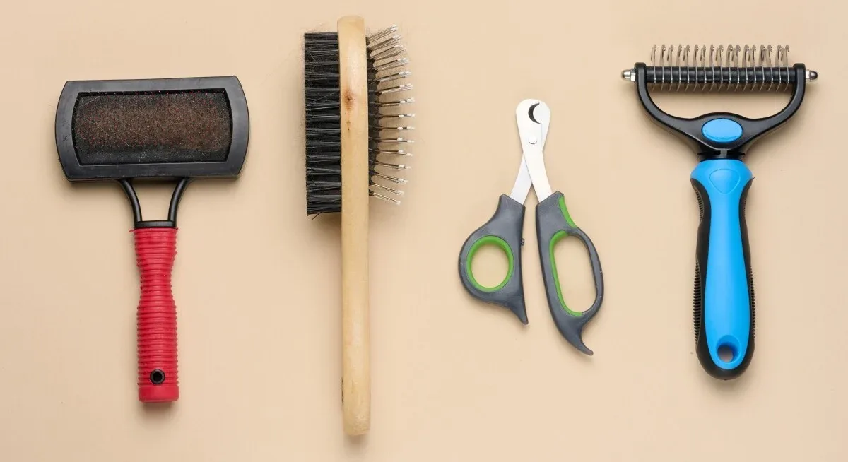 How to Choose the Right Dog Brushes for Safer At-Home Dog Grooming