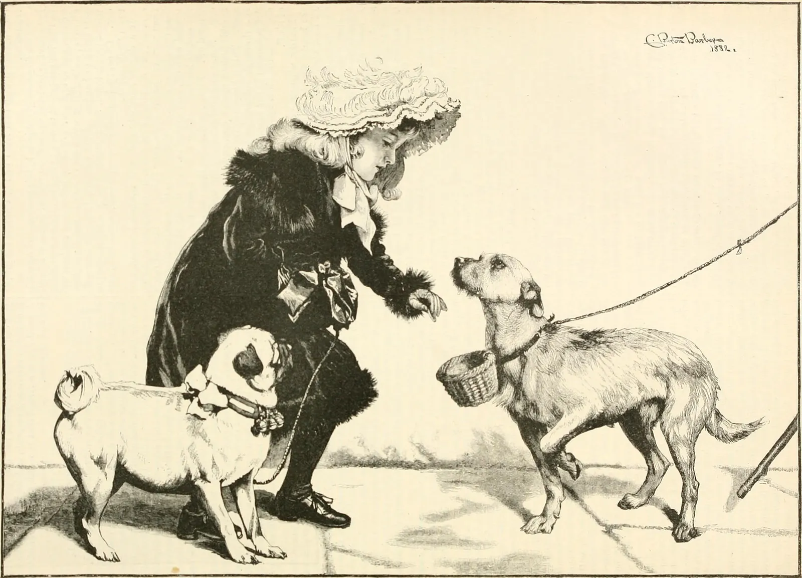 How to Dry a Dog After a Bath