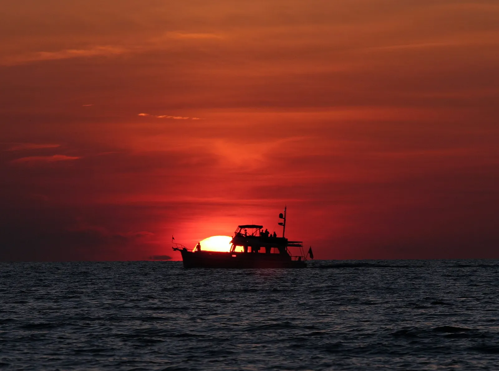 How to Groom a Dog After the Beach