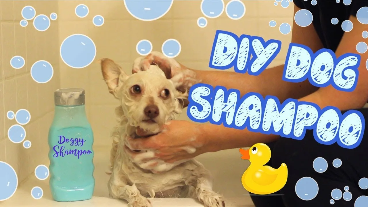 How to Make and Use Homemade Dog Shampoo Safely