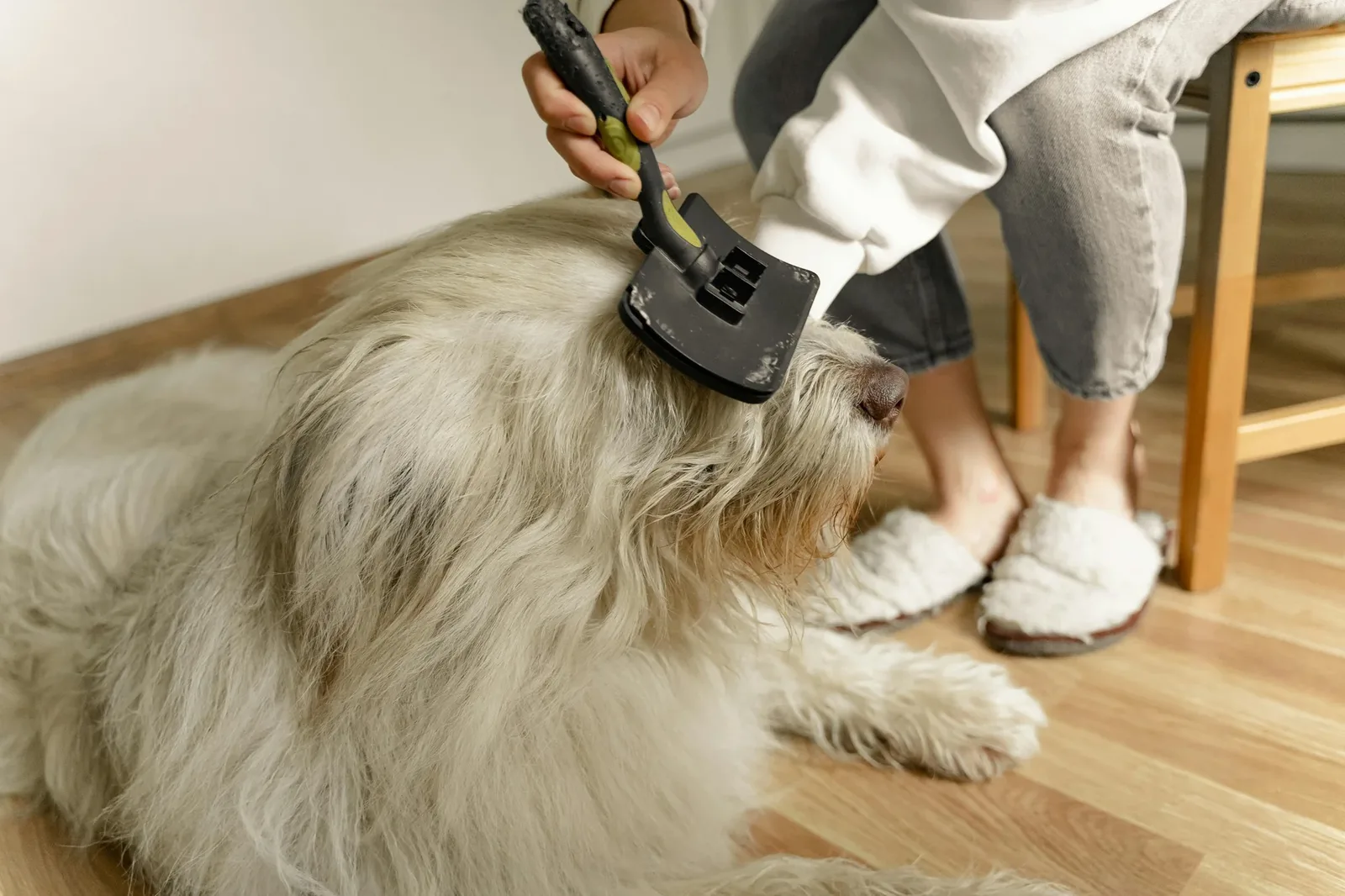 How to Manage Shedding, Mats, Long Nails, and Hot Spots