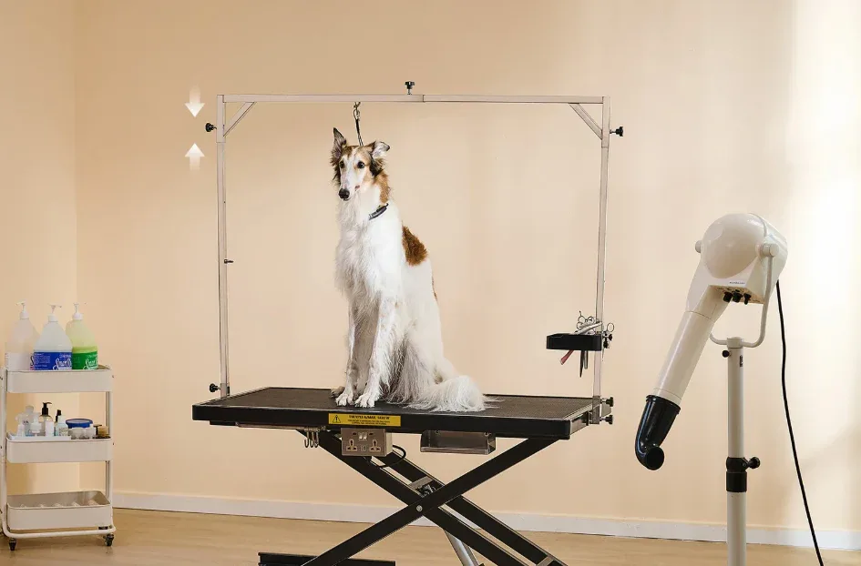 How to Set Up a Safe Home Grooming Table Before You Start Brushing or Clipping