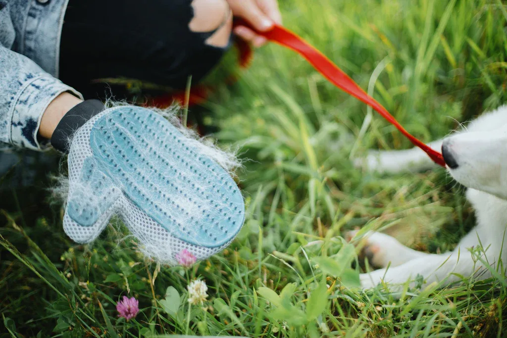 How to Use a Deshedding Tool Without Damaging the Coat or Skin