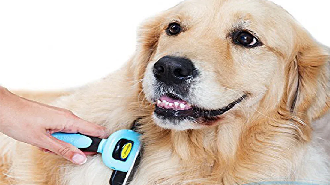 How to Use a Deshedding Tool Without Damaging the Coat or Skin