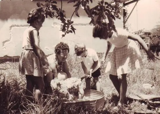 Why Does My Dog Smell Bad After a Bath?