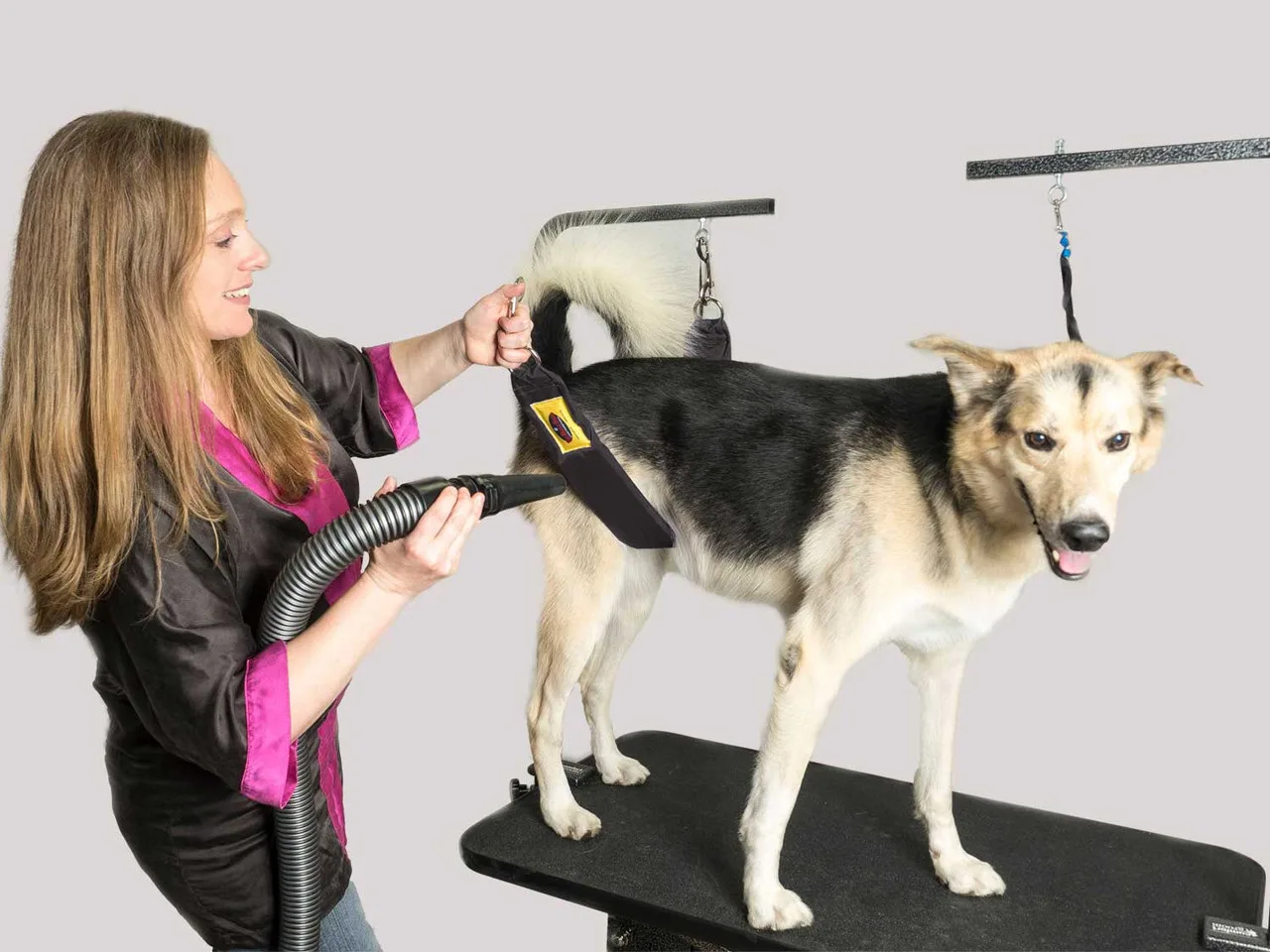 Are Grooming Restraints Safe for Dogs?
