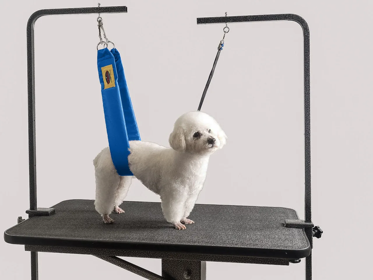 Are Grooming Restraints Safe for Dogs?