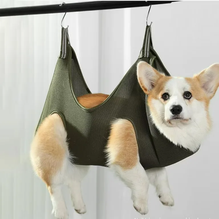 Are Grooming Restraints Safe for Dogs?