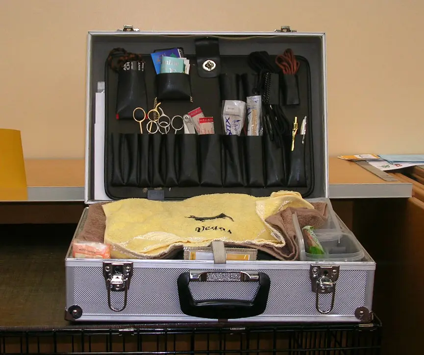 How Do You Know if a Dog Needs Grooming?