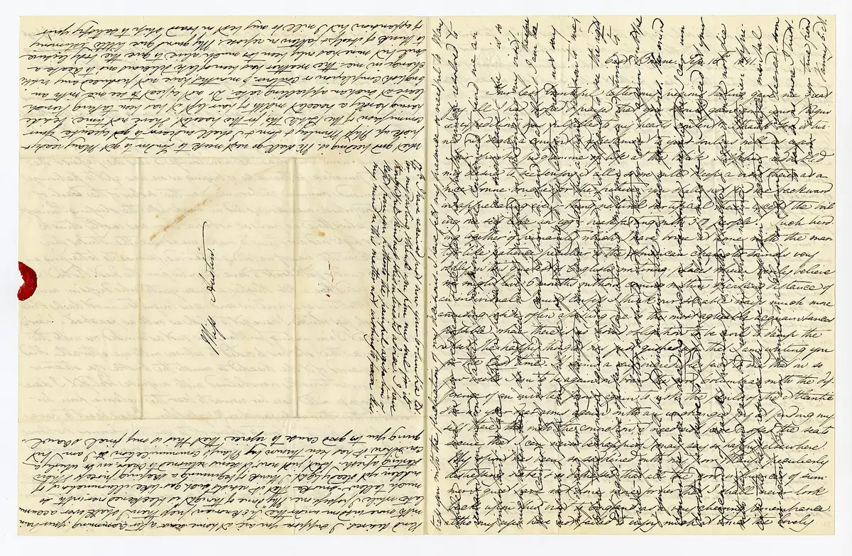 How Often Should You Check a Dog’s Nails?