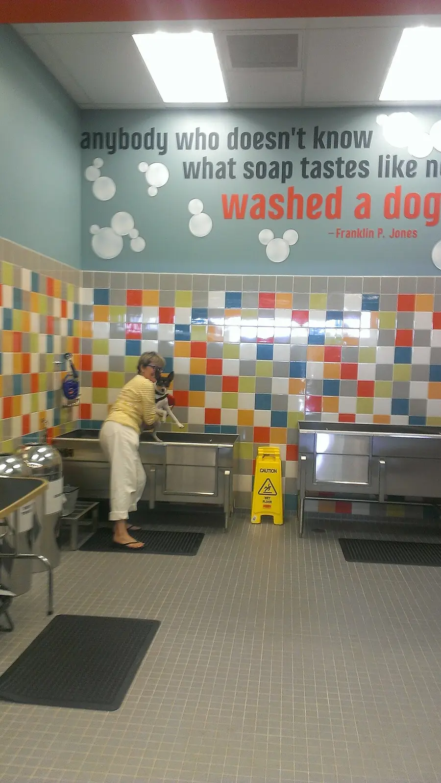 Dog being dried after a bath